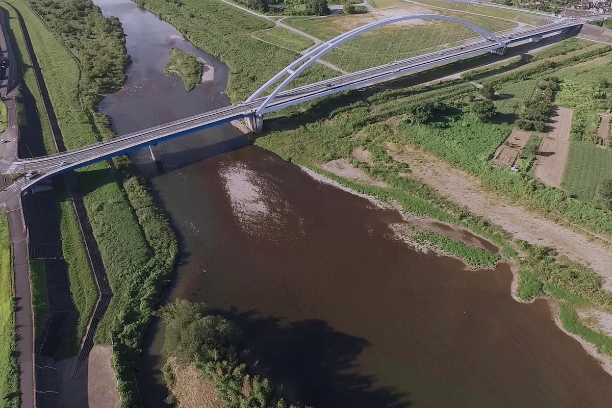 株式会社SHF イメージ