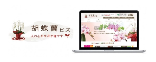 【胡蝶蘭ビズ】フラワーギフト・胡蝶蘭の専門店 | 高品質 | | 法人対応